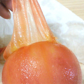 tomato-peeled