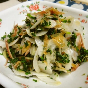 parsley-onion-salad