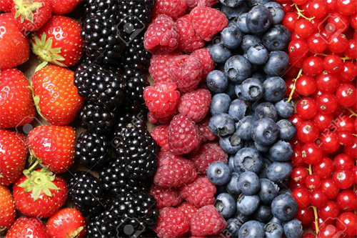 berry-fruits